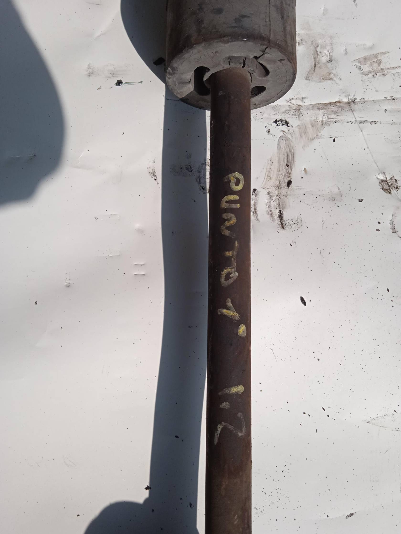 Semialbero ant. compl. dx.